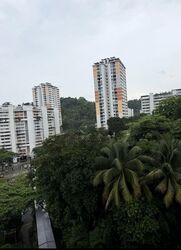 Blk 107 Bukit Purmei Road (Bukit Merah), HDB 3 Rooms #574641821